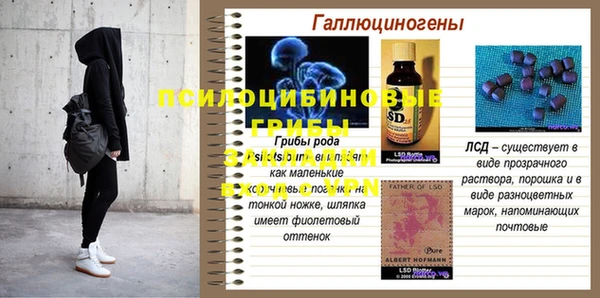 круглые Богородицк