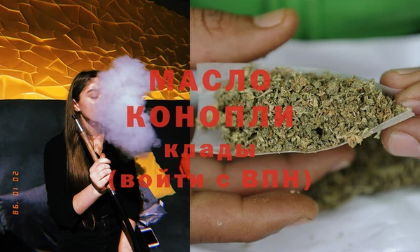 дмт Богданович
